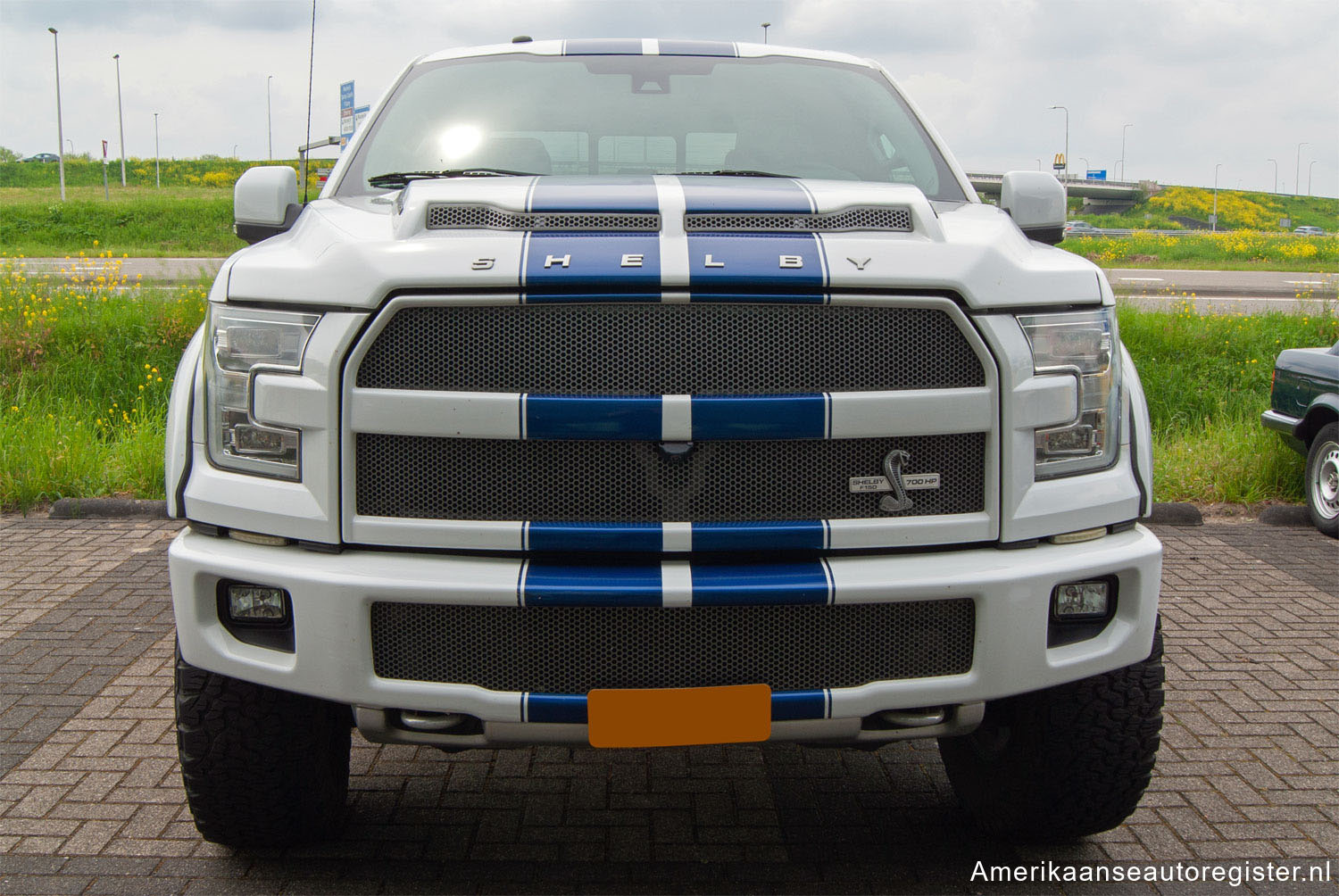 Ford F Series uit 2015